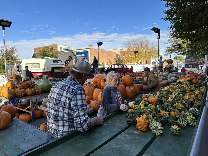 The Official Circleville Pumpkin Show Website Photos