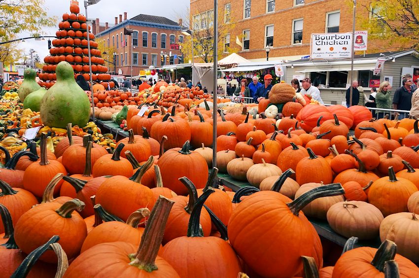 Pumpkin Show 2025 Schedule Glory Kamilah