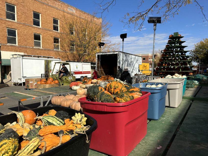 The Official Circleville Pumpkin Show Website Photos