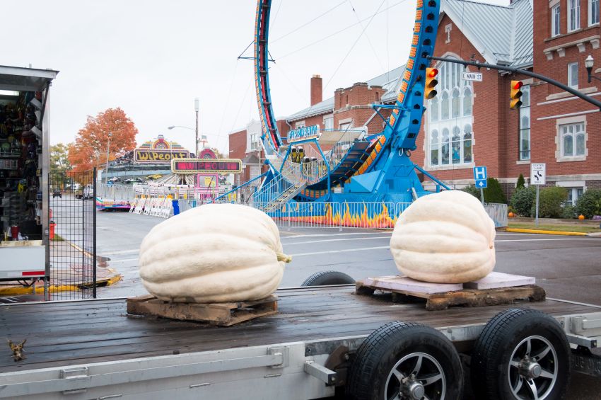 The Official Circleville Pumpkin Show Website Photos