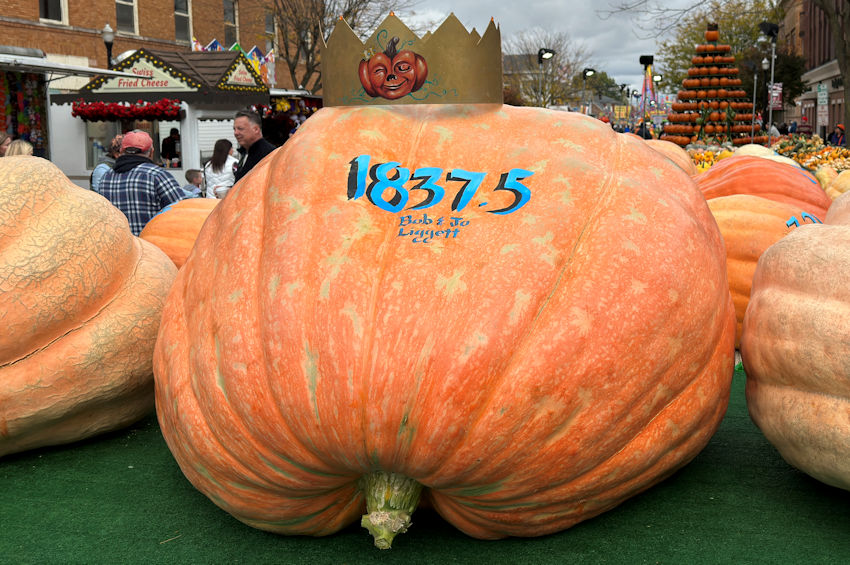 The Official Circleville Pumpkin Show Website 2022 Largest Pumpkins