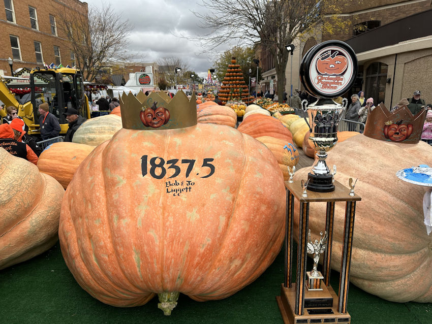 The Official Circleville Pumpkin Show Website 2022 Largest Pumpkins