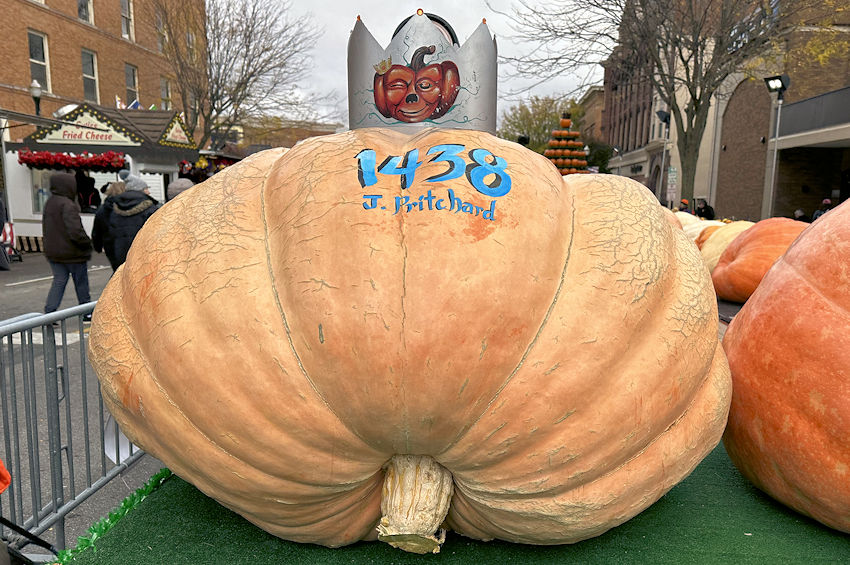 The Official Circleville Pumpkin Show Website 2022 Largest Pumpkins
