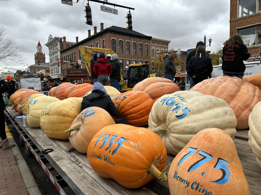 The Official Circleville Pumpkin Show Website 2022 Largest Pumpkins