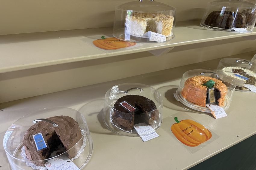 The Official Circleville Pumpkin Show Website Photos