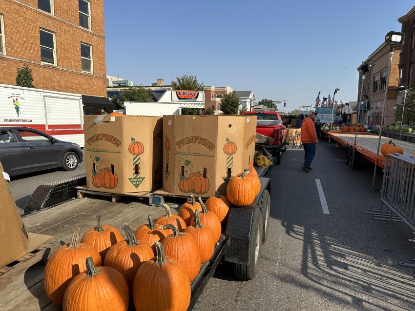 The Official Circleville Pumpkin Show Website Photos